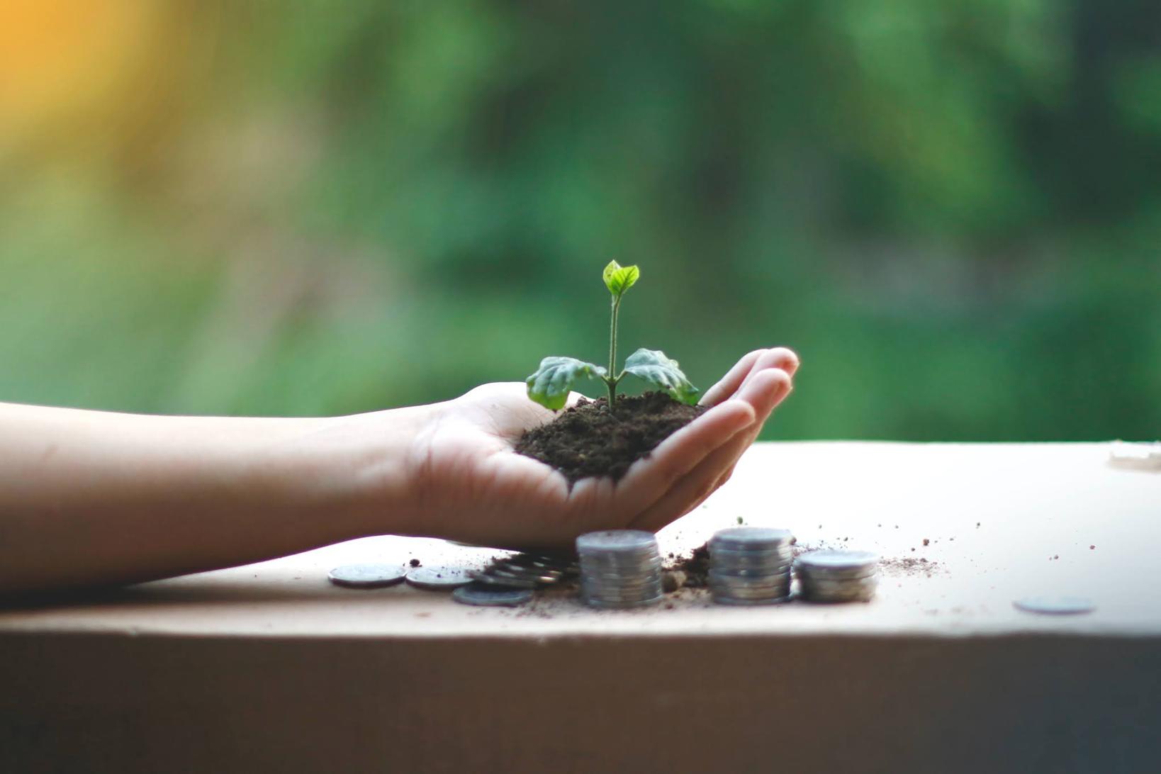 How Is Life Insurance An Investment How Is Life Insurance An Investment